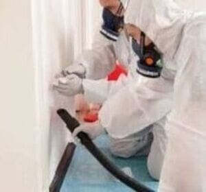 Asbestos Testing