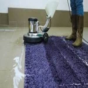 Carpet and Upholstery Cleaning